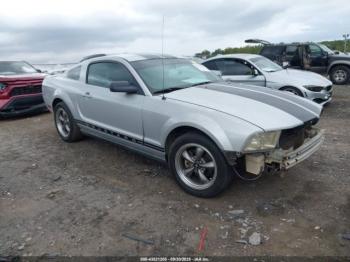  Salvage Ford Mustang
