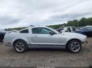 Ford Mustang Image 10