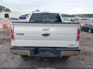 Ford F-150 Lariat Image 13