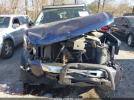 Chevrolet Silverado 1500 Ls Image 3