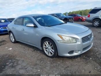  Salvage Nissan Maxima