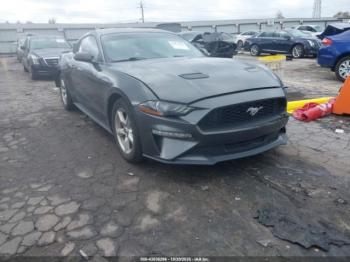  Salvage Ford Mustang