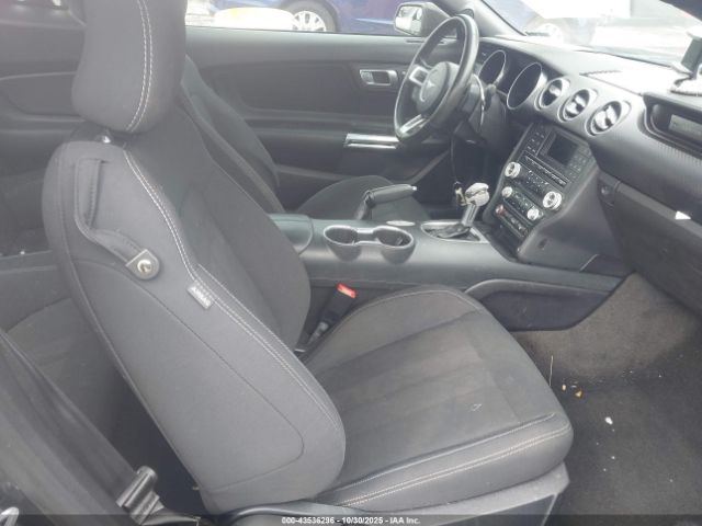 Ford Mustang Ecoboost Image 16