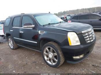  Salvage Cadillac Escalade