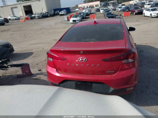 Hyundai ELANTRA Limited Image 8