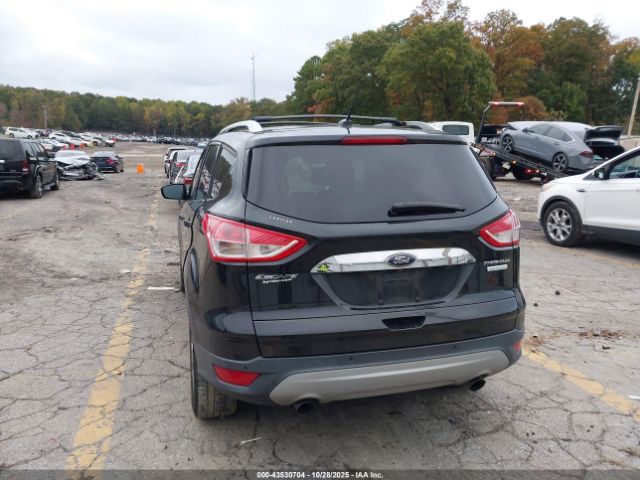 Ford Escape Titanium Image 7