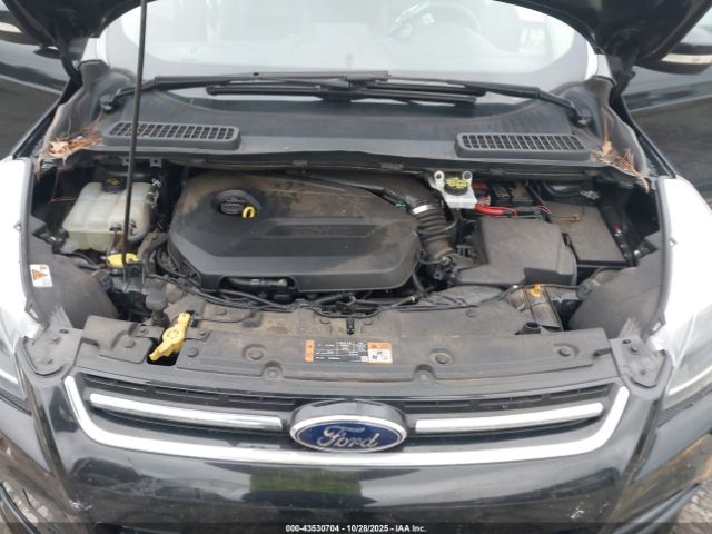 Ford Escape Titanium Image 6