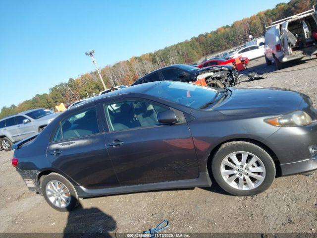 Toyota Corolla S Image 8