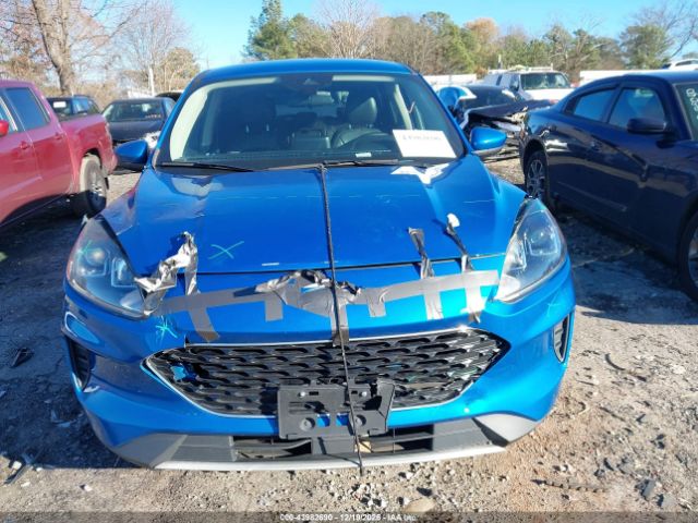 Ford Escape Se Image 13