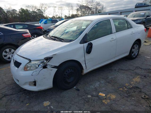 Toyota Corolla Image 11