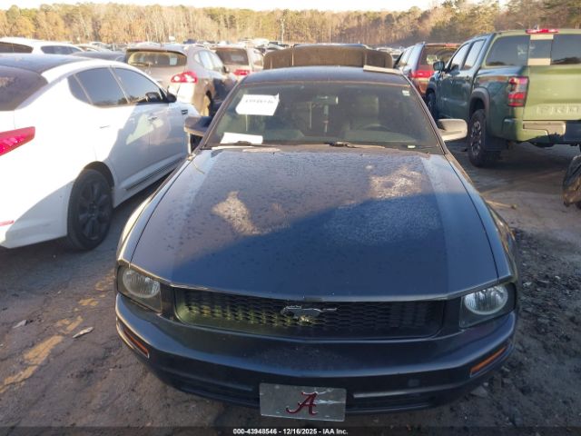 Ford Mustang Image 11