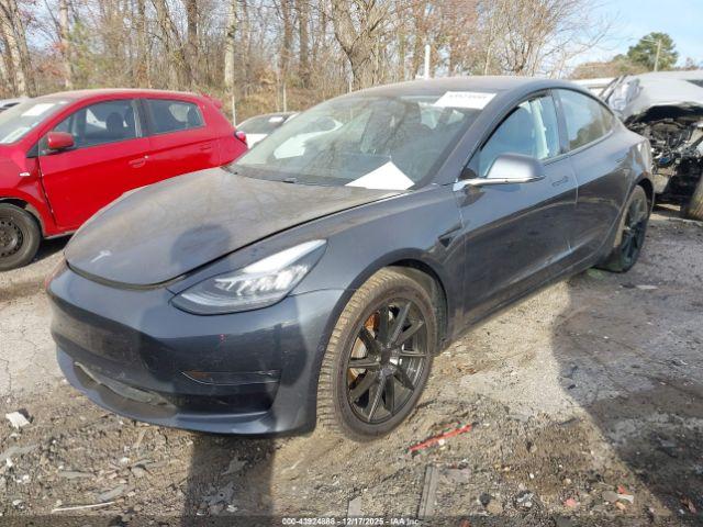 Tesla Model 3 Image 7